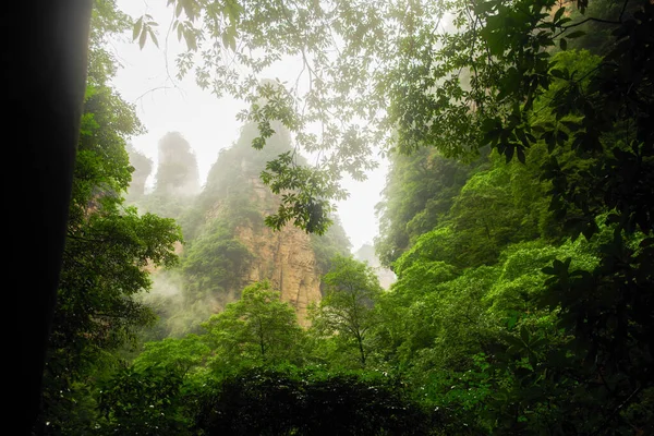 Zhangjiajie Montaña Acantilado Wulingyuan Hunan China —  Fotos de Stock