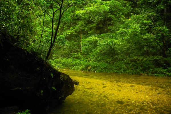 Montagne Falaise Zhangjiajie Wulingyuan Hunan Chine — Photo