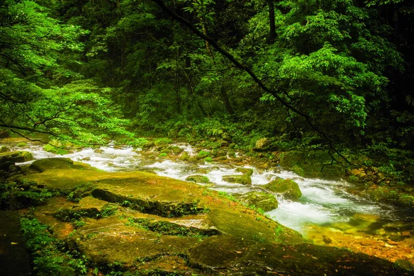 武陵源湖南中国で張家界崖の山 — ストック写真