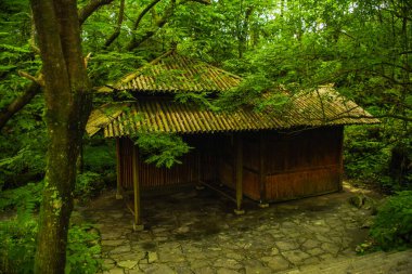 Tianmen Dağı 'ndaki Tianmen Dağı Ulusal Parkı.