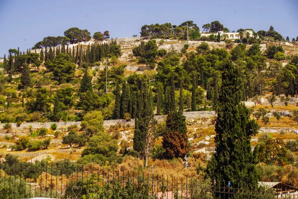 Ancient City Jerusalem Center Israel — Stock Photo, Image