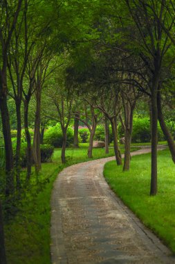 Şaolin - Orta Çin 'deki Budist Manastırı