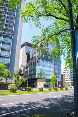 Baharda Tokyo sokakları