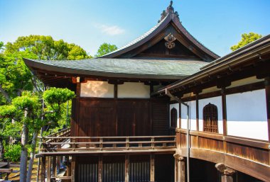 Baharda Tokyo sokakları