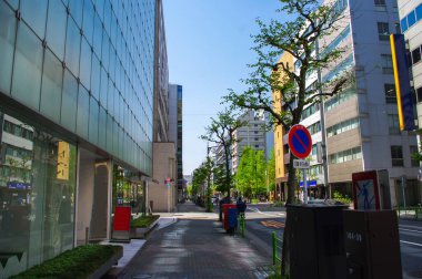 Baharda Tokyo sokakları