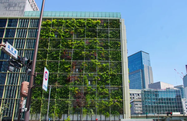 Streets Tokyo Spring — Stock Photo, Image