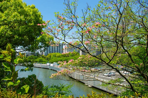 Gardens Tokyo Japan — Stock Photo, Image