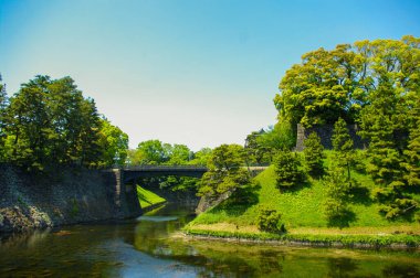 Tokyo, Japonya bahçeleri.