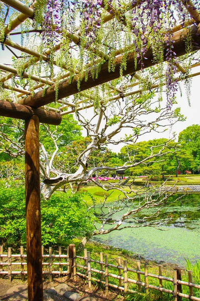 Les Jardins Tokyo Japon — Photo