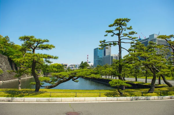 Die Gärten Von Tokio Japan — Stockfoto
