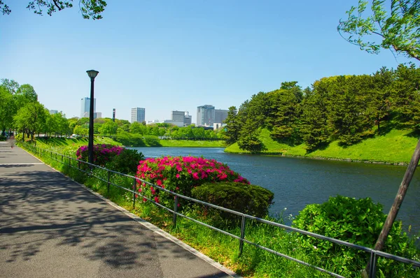 日本东京的花园 — 图库照片