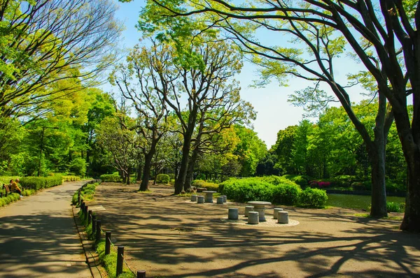 Tokion Puutarhat Japani — kuvapankkivalokuva