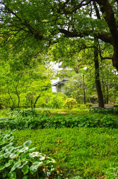 Les Jardins Tokyo Japon — Photo