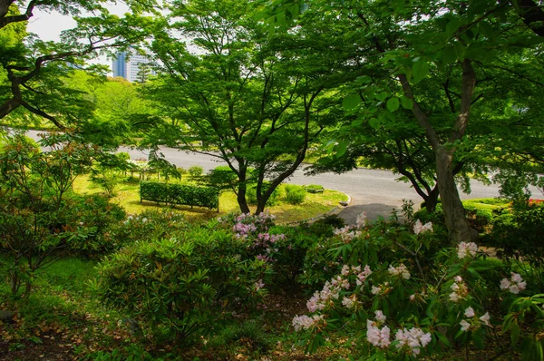 東京都の庭園 — ストック写真