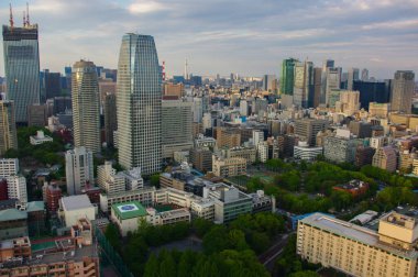 Tokyo Kulesi ve manzarası