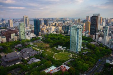 Tokyo Kulesi ve manzarası