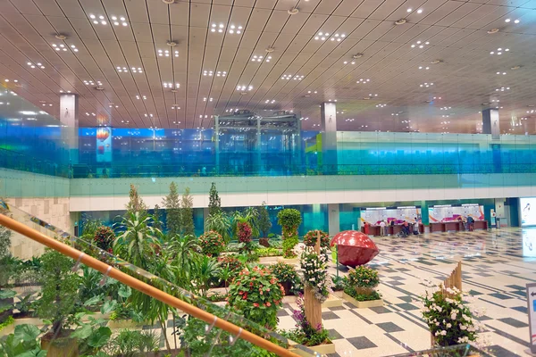 Tuin binnenkant van Changi Aiport — Stockfoto