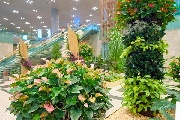 Giardino all'interno di Changi Aiport — Foto Stock