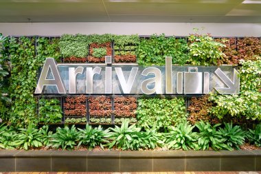 Changi Havaalanı içinde
