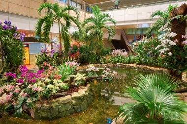 Singapur changi Havaalanı