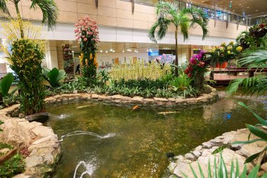 Singapur changi Havaalanı