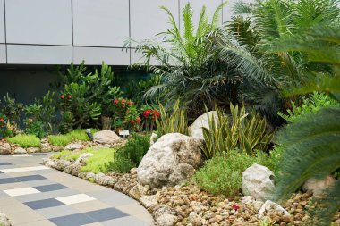 Kaktüs Bahçe Changi Havaalanı