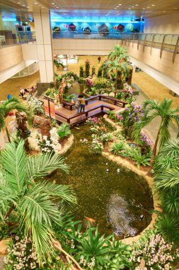 Singapur changi Havaalanı