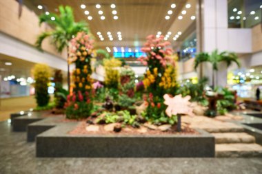 Singapur changi Havaalanı
