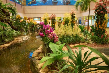 Singapur changi Havaalanı