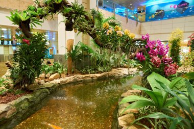 Singapur changi Havaalanı