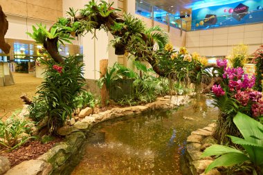 Singapur changi Havaalanı