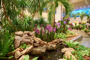 Singapur changi Havaalanı