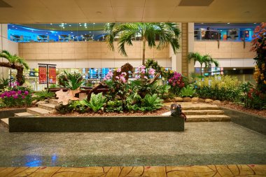 Singapur changi Havaalanı