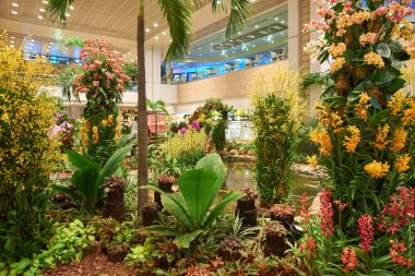 Singapur changi Havaalanı