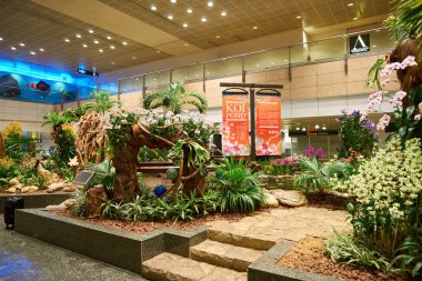 Singapur changi Havaalanı