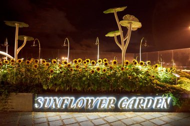 Sunflower Garden at Changi Airport clipart