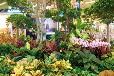 Singapur changi Havaalanı