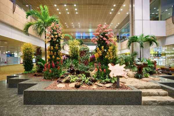 Aeroporto di Singapore Changi — Foto Stock