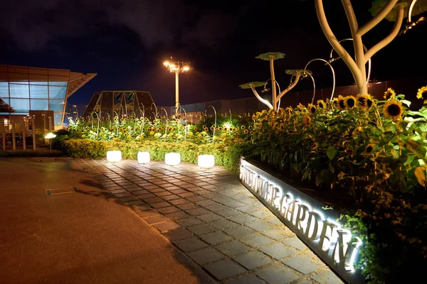 Zonnebloem tuin op Changi Airport — Stockfoto
