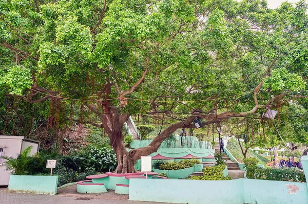 Paisaje urbano de Macao — Foto de Stock