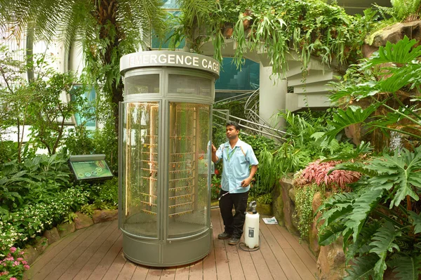 Giardino delle farfalle all'aeroporto Changi — Foto Stock