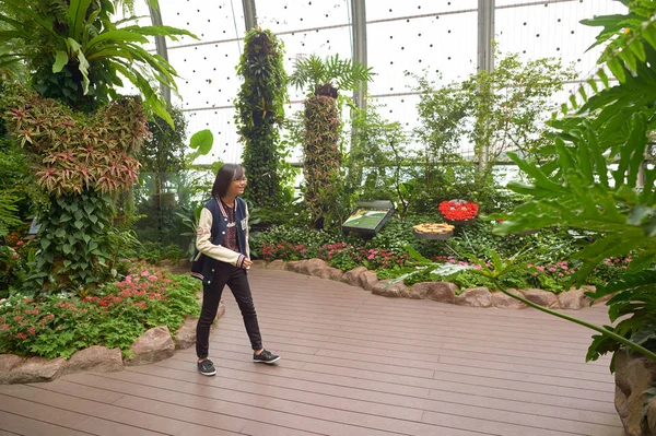 Jardim da Borboleta no Aeroporto de Changi — Fotografia de Stock
