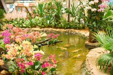 Singapur changi Havaalanı