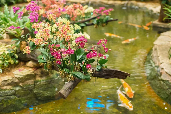 Singapore Changi Airport — Stockfoto