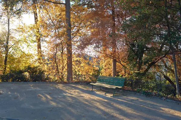 Träd på hösten i Genève. — Stockfoto