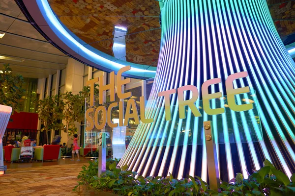 Singapour Changi's Airport Social Tree — Photo