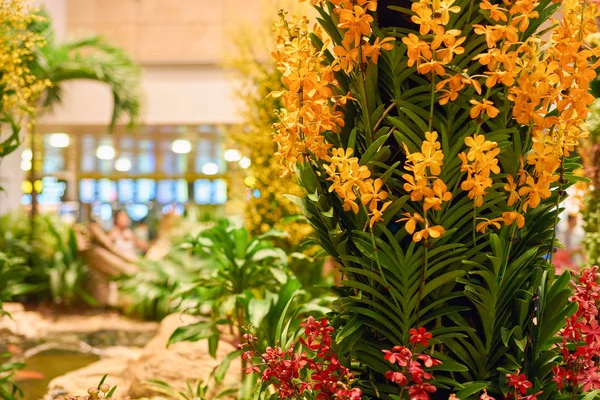 Aeroporto di Singapore Changi — Foto Stock