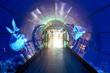 Seoul, Güney Kore - Haziran, 2017 yaklaşık: Namsan Seul Kulesi 1f - Oled tünel. OLED paneller Seviye 1-4 Namsan Seul kuleden her yerde görüntülenir.