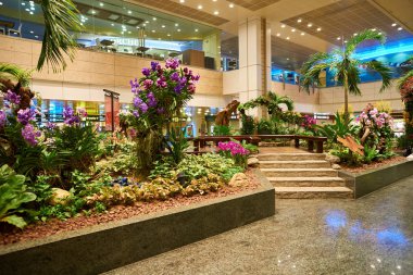 Singapur - yaklaşık Ağustos, 2016: Singapur Changi Havaalanı içinde. Singapur Changi Havaalanı Singapore için birincil sivil Havaalanı ve Güneydoğu Asya'nın en büyük ulaşım merkezleri biridir.