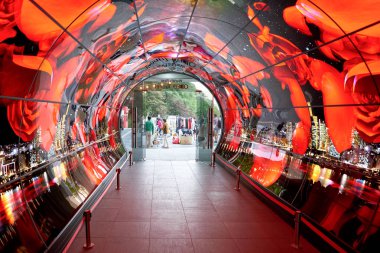 Seoul, Güney Kore - Mayıs, 2017 yaklaşık: Namsan Seul Kulesi 1f - Oled tünel. OLED paneller Seviye 1-4 Namsan Seul kuleden her yerde görüntülenir.